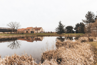 Gallery Item 52 for The Hidden Oak