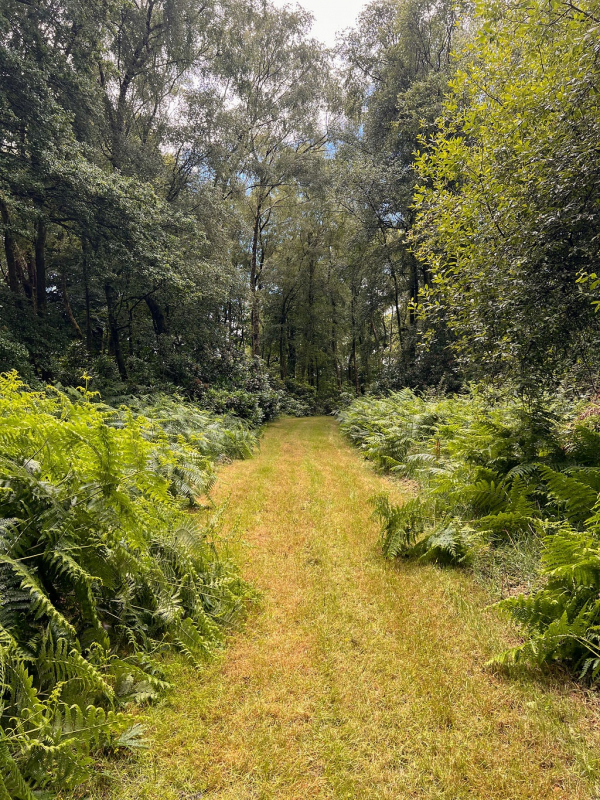Gallery Item 3 for Hillfort Woodland Weddings