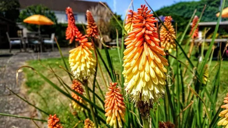 Gallery Item 4 for Old Manor House Hotel