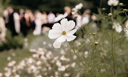 Gallery Item 45 for Saltmarshe Hall