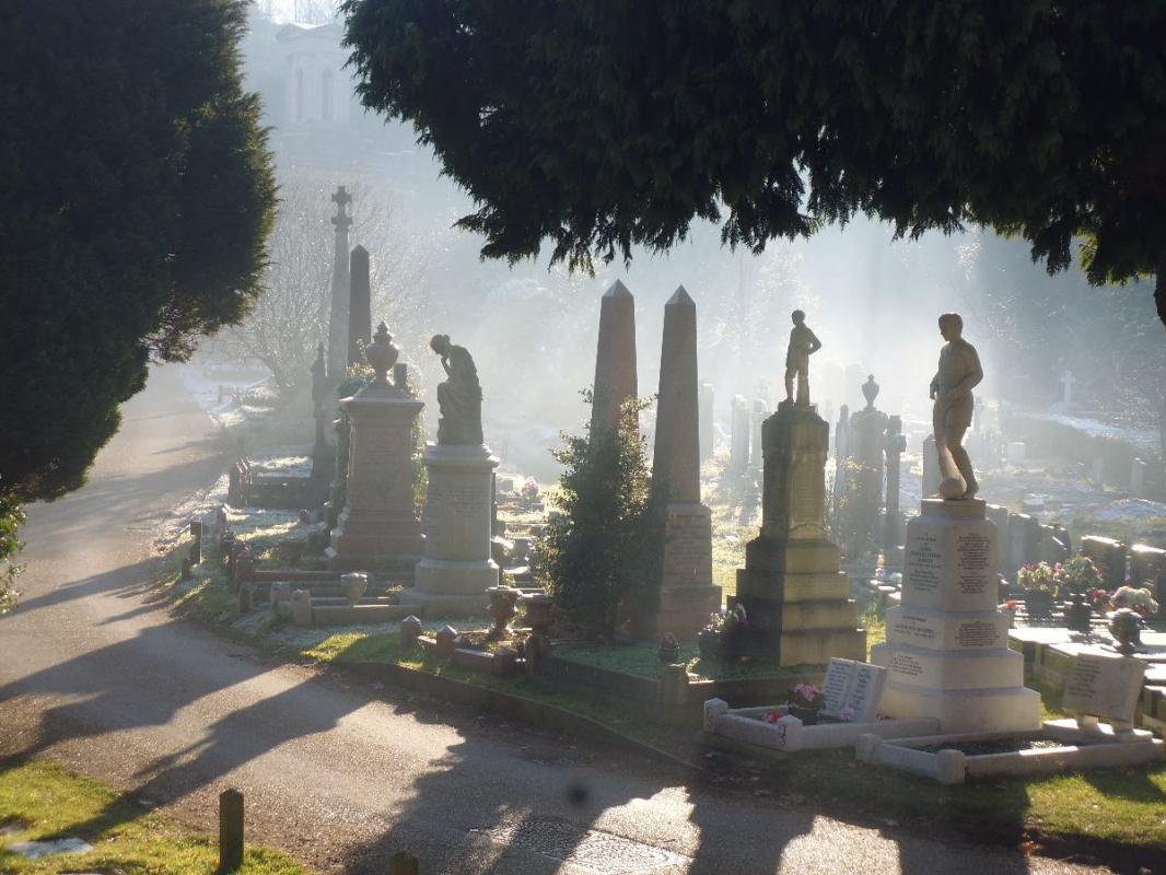 Gallery Item 2 for Arnos Vale