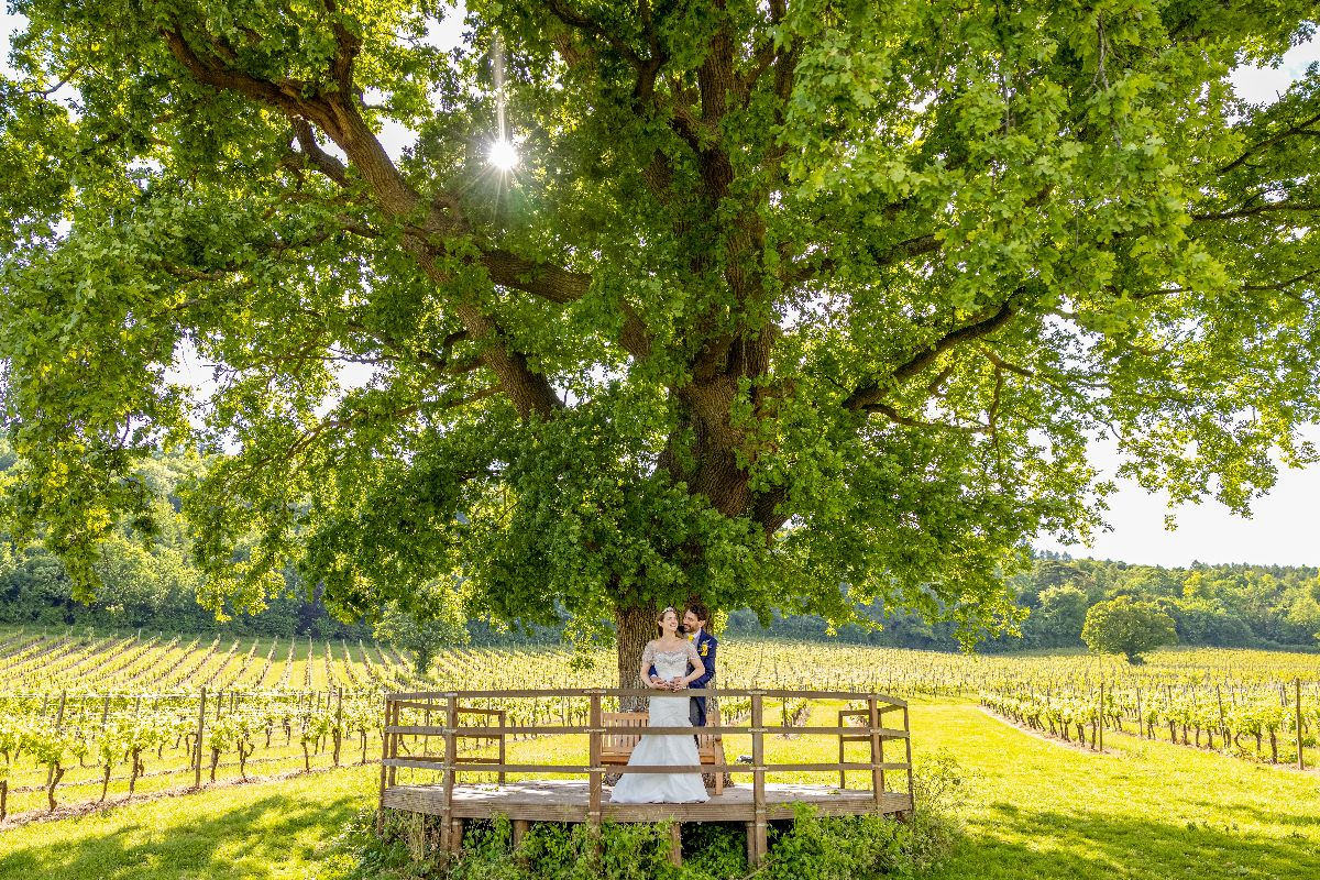 Gallery Item 5 for Denbies Wine Estate