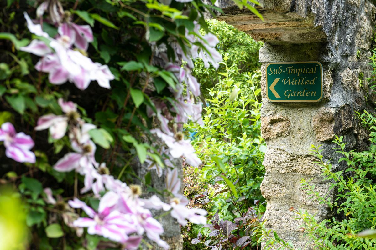 Gallery Item 2 for Tregenna Castle Hotel