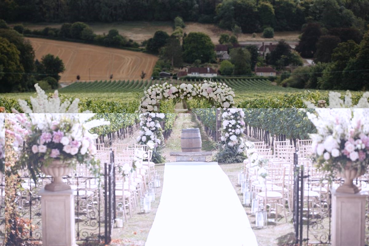 Gallery Item 1 for Hambledon Vineyard