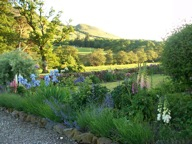 Gallery Item 6 for The Tin Shed, Knockraich Farm