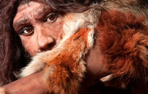 Gallery Item 18 for Kents Cavern