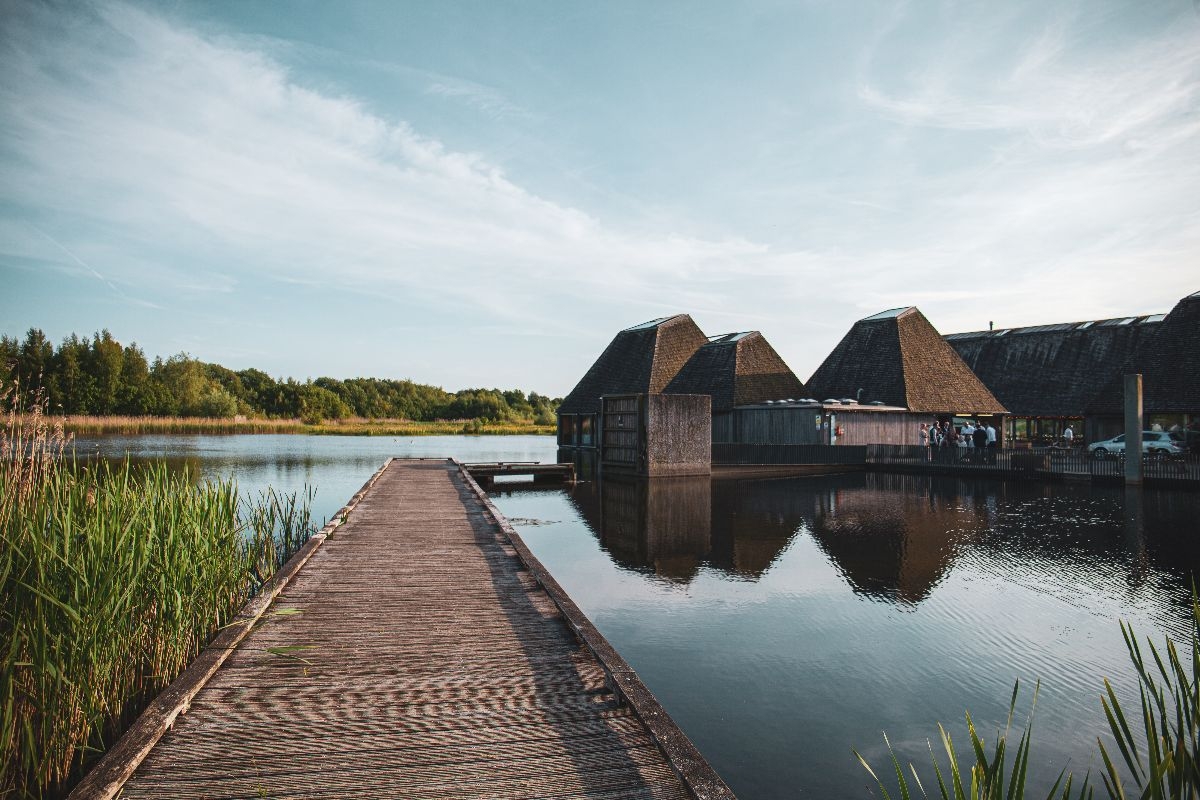 Gallery Item 1 for Brockholes Nature Reserve