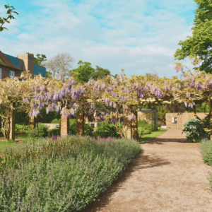 Gallery Item 61 for Pitzhanger Manor & Gallery