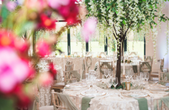 Gallery Item 53 for The Hidden Oak