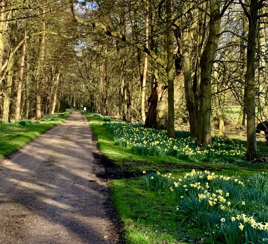 Gallery Item 17 for Kimberley Hall