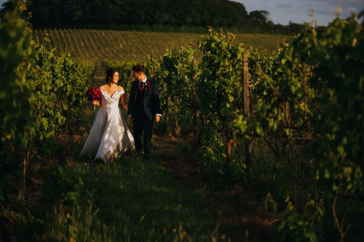Gallery Item 3 for Denbies Wine Estate