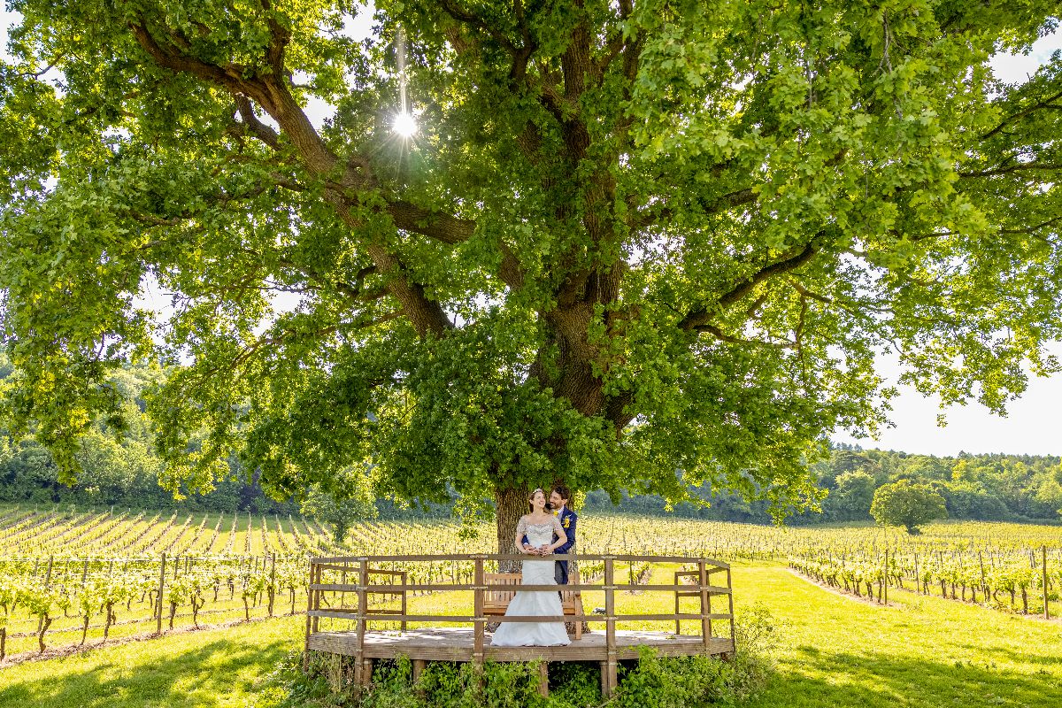 Gallery Item 3 for Denbies Wine Estate