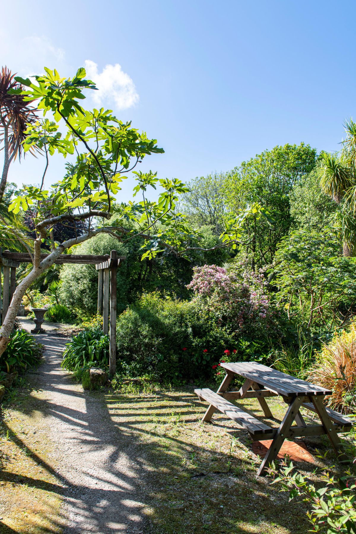 Gallery Item 8 for Tregenna Castle Hotel