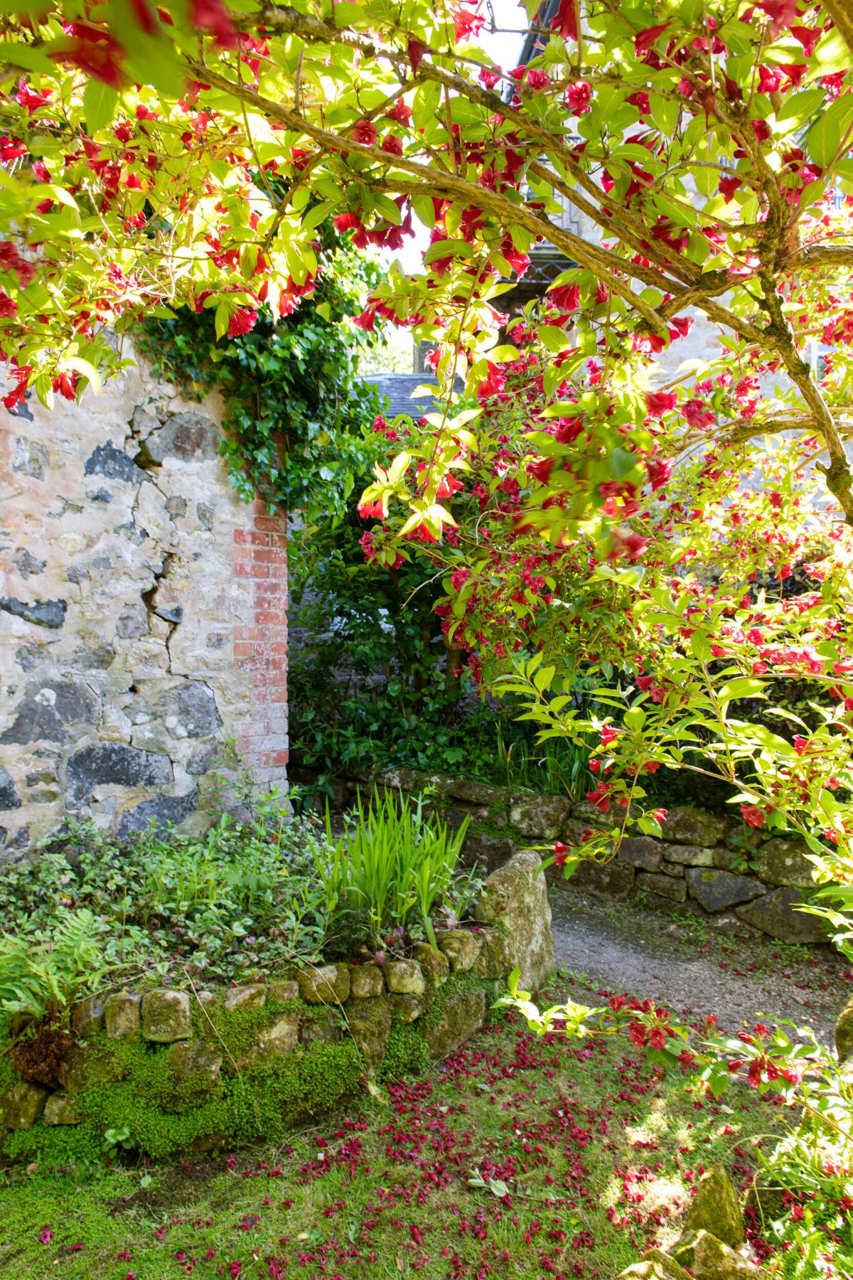 Gallery Item 6 for Tregenna Castle Hotel