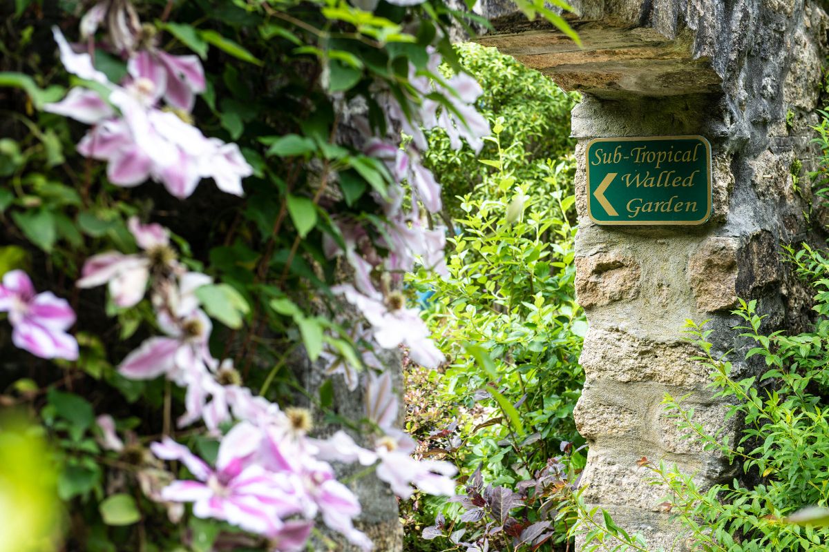 Gallery Item 4 for Tregenna Castle Hotel
