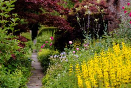 Gallery Item 6 for Saltmarshe Hall