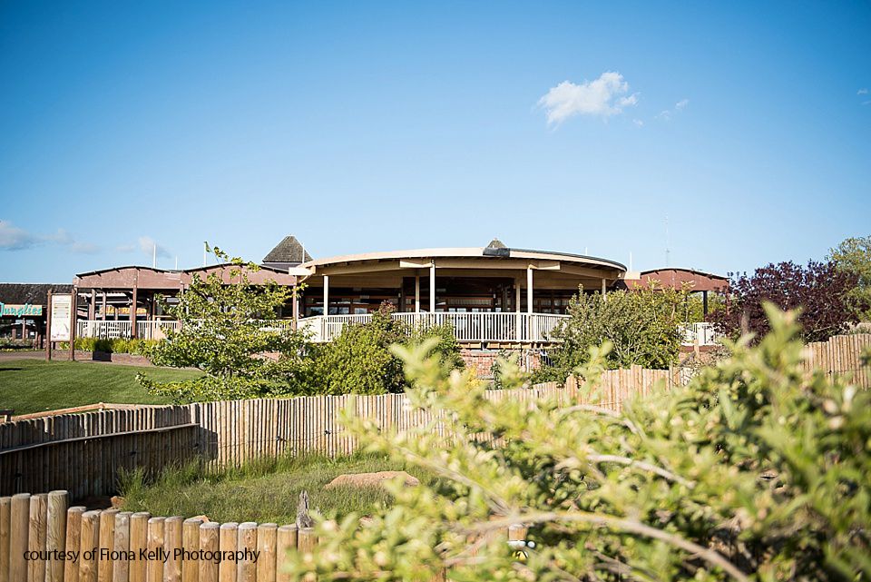 Gallery Item 3 for The Safari Lodge at Woburn Safari Park