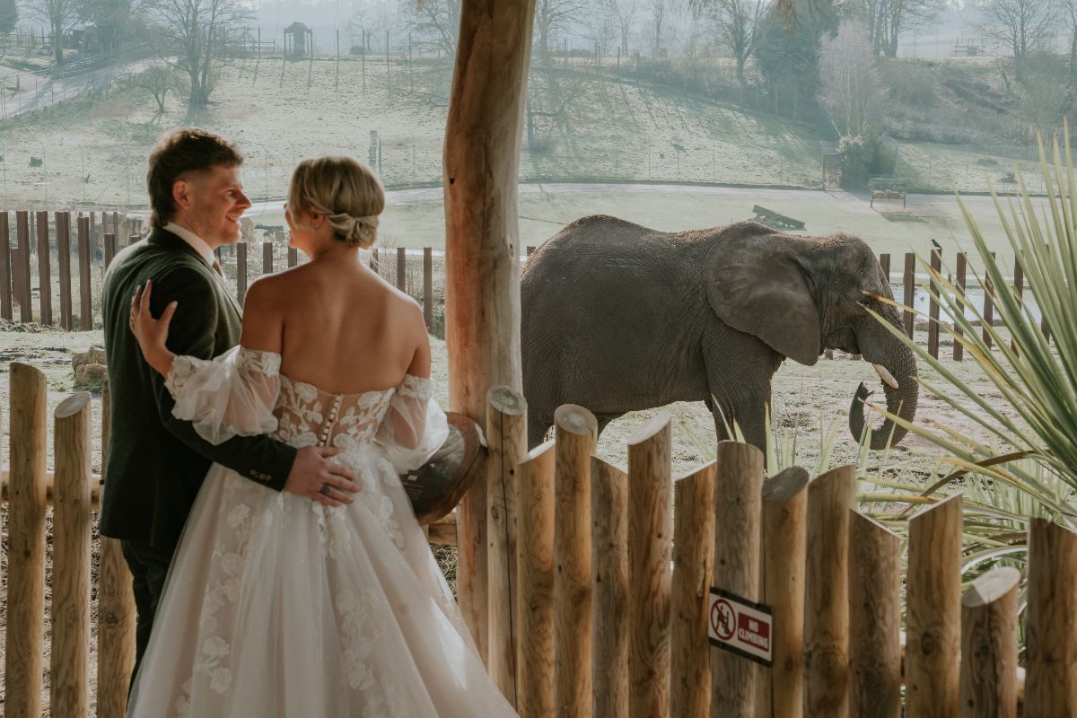 Gallery Item 5 for Safari Venues - West Midland Safari Park