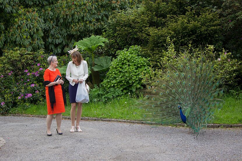 Gallery Item 10 for Dartmoor Zoological Park