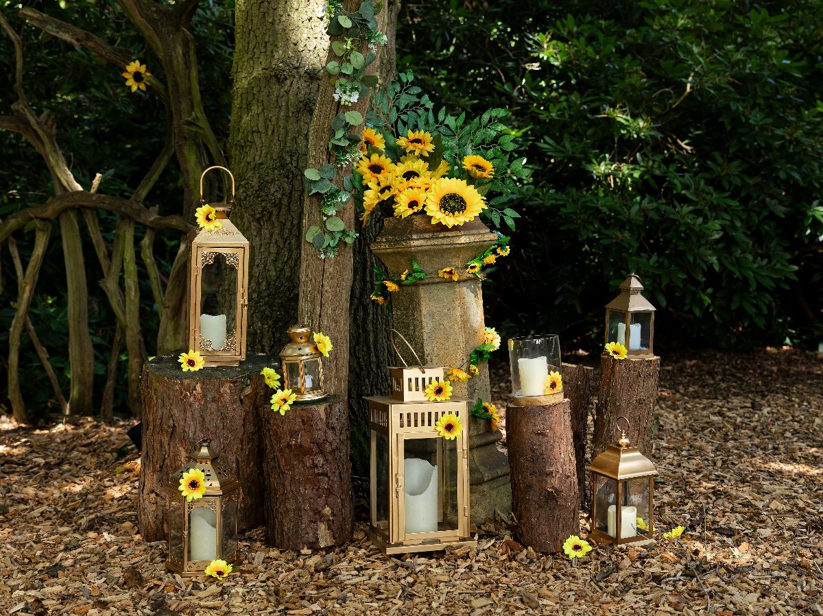 Gallery Item 4 for Escrick Park Estate
