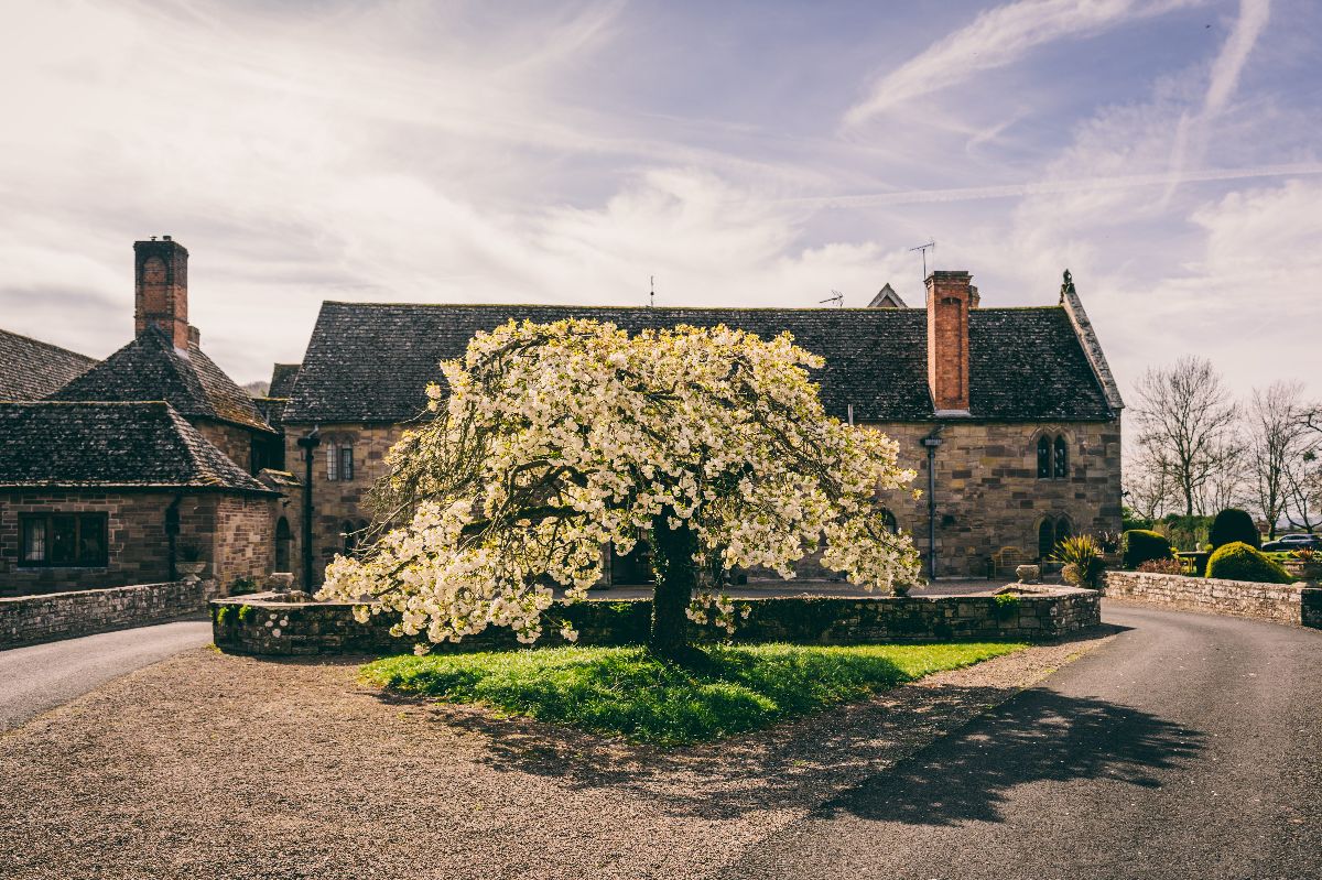 Gallery Item 11 for Brinsop Court Estate