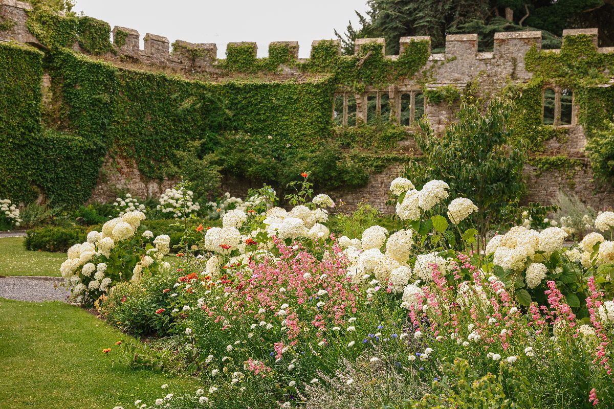Gallery Item 10 for Thornbury Castle