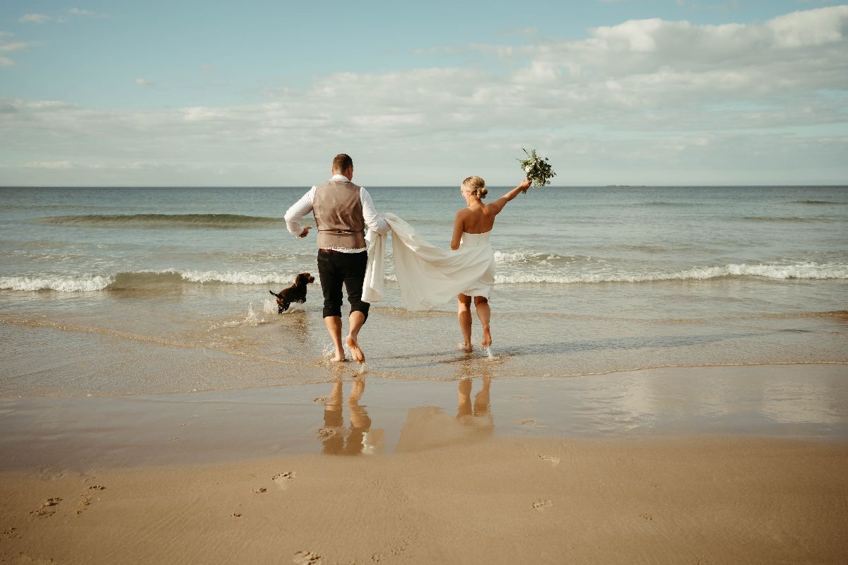 Gallery Item 6 for Bamburgh Castle