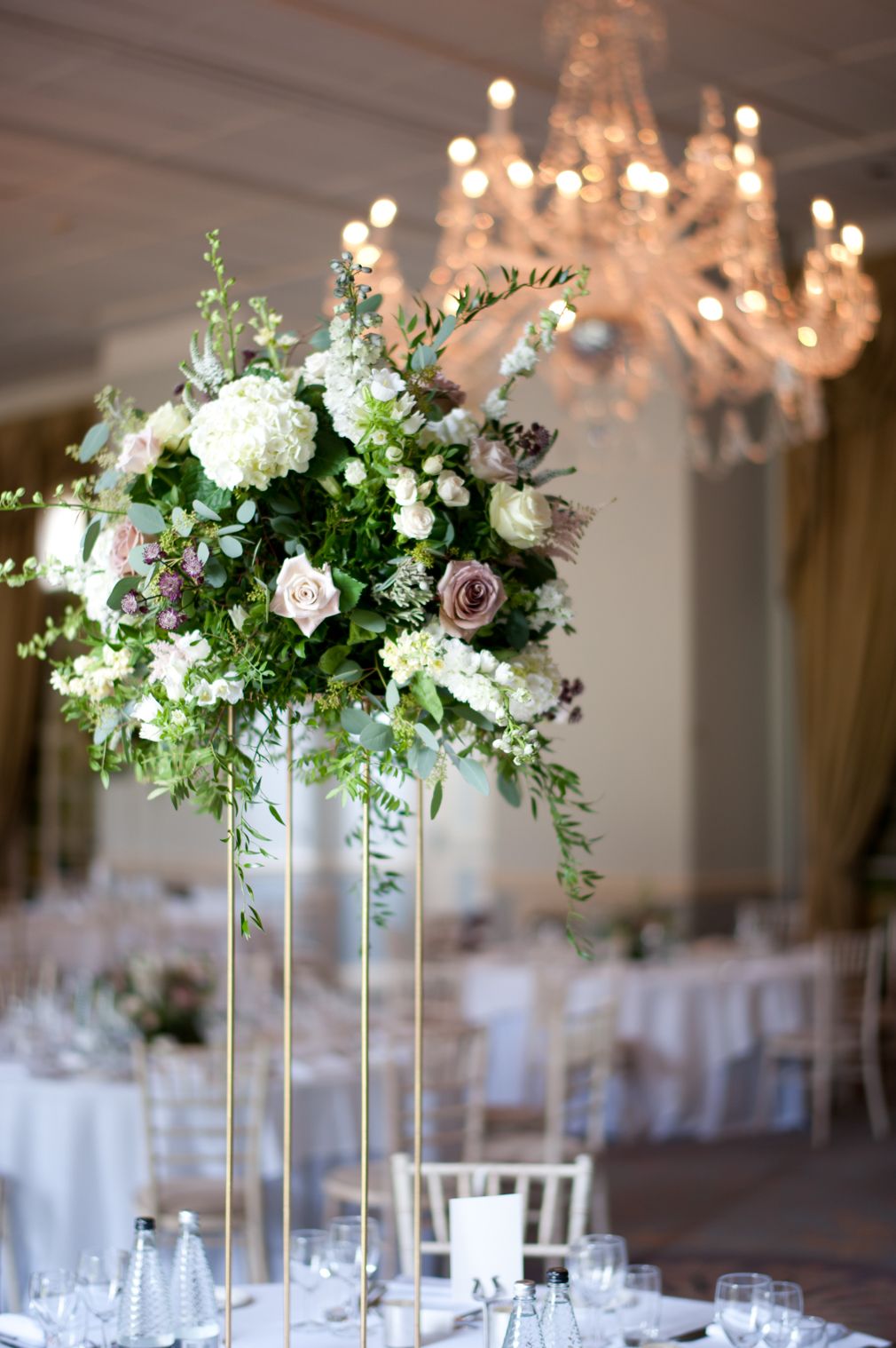 Gallery Item 12 for Stapleford Park