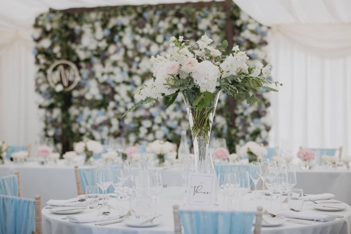 Gallery Item 5 for Hambledon Vineyard