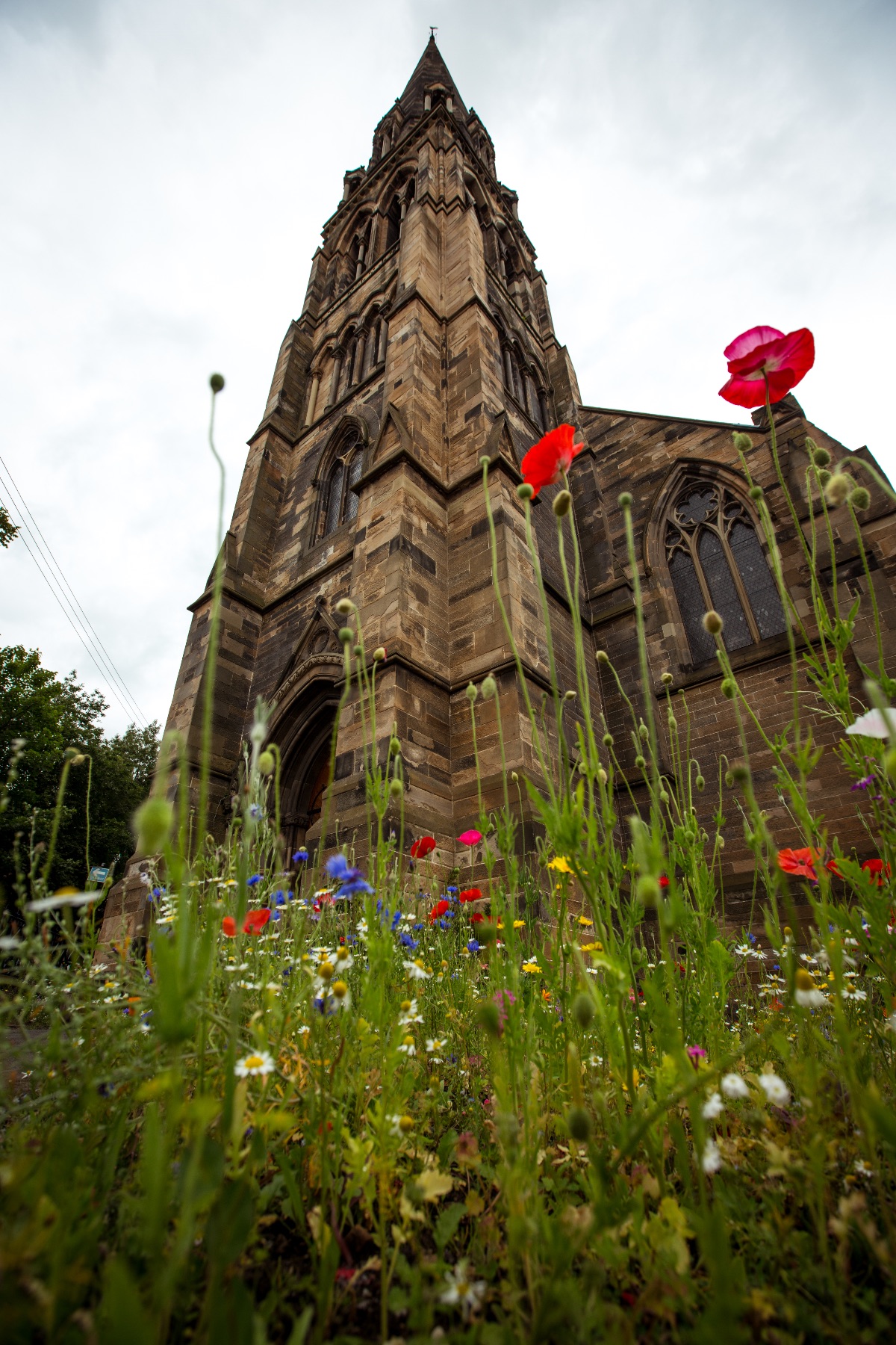 Gallery Item 10 for Cottiers