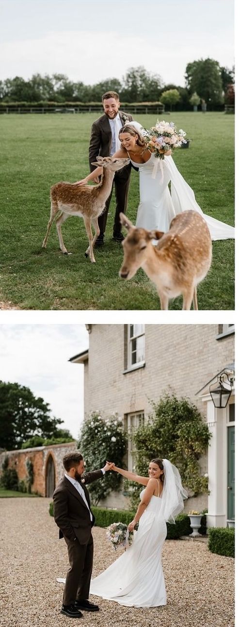 Gallery Item 4 for Hill Farm Massingham