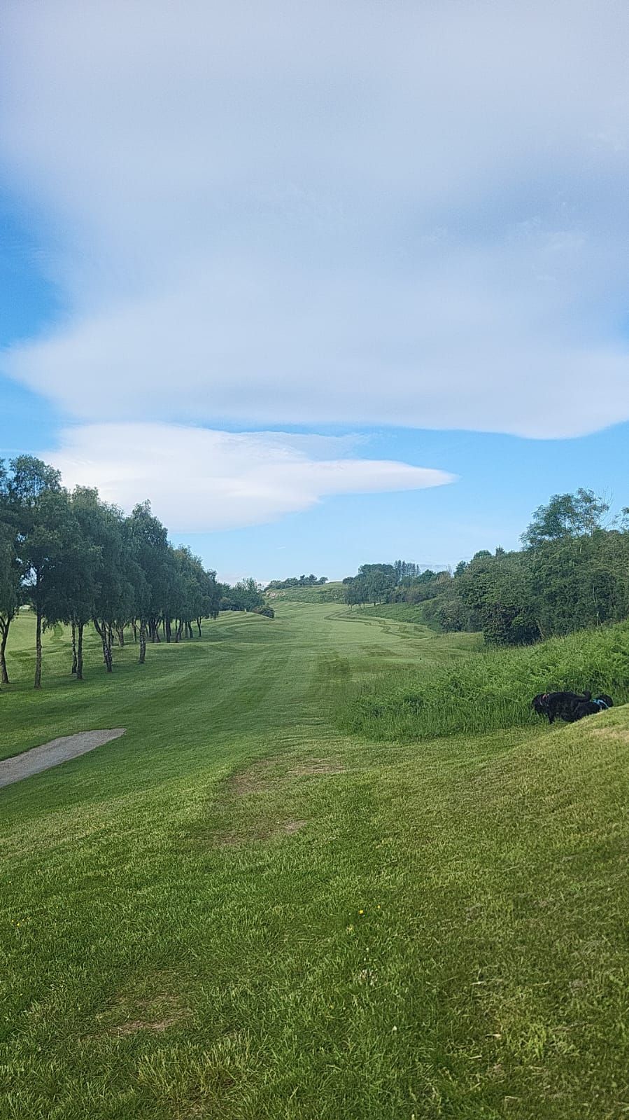 Gallery Item 5 for LLANYMYNECH GOLF CLUB
