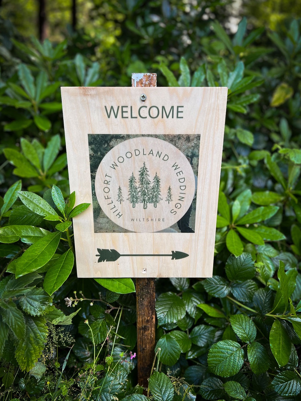 Gallery Item 4 for Hillfort Woodland Weddings