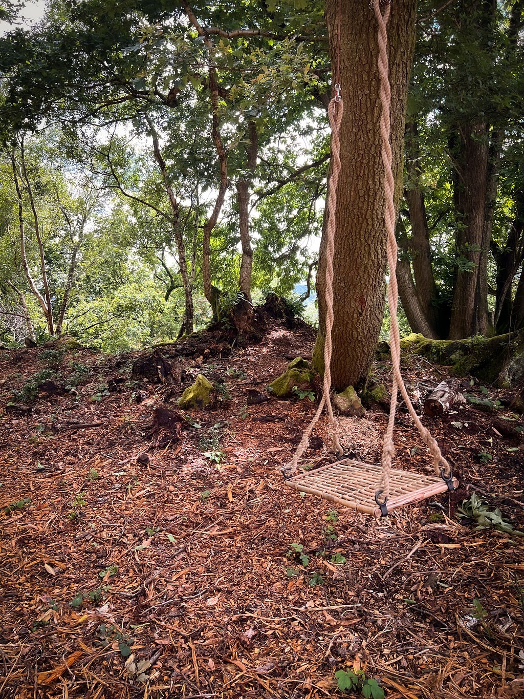 Gallery Item 5 for Hillfort Woodland Weddings