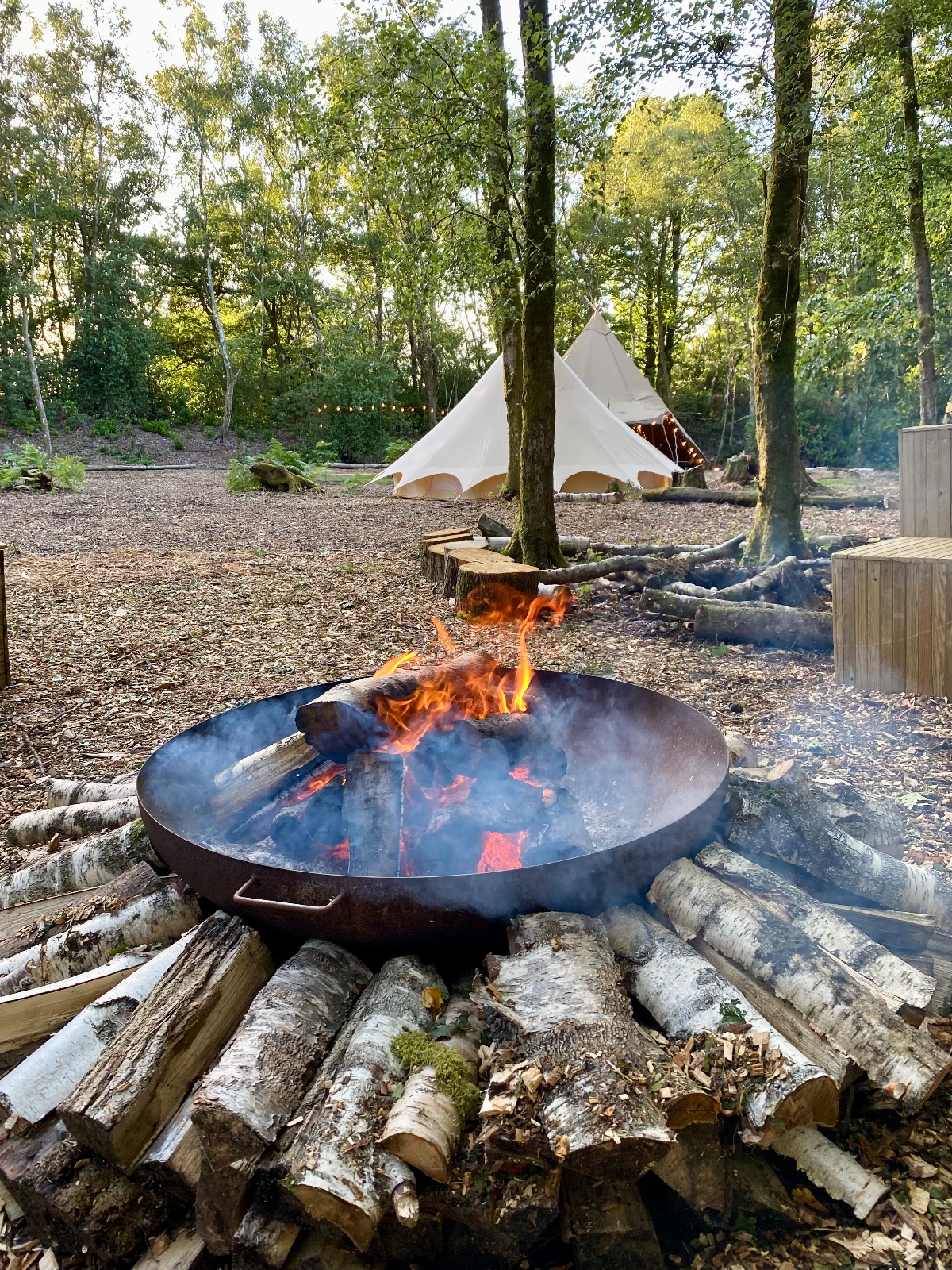 Gallery Item 5 for Hillfort Woodland Weddings