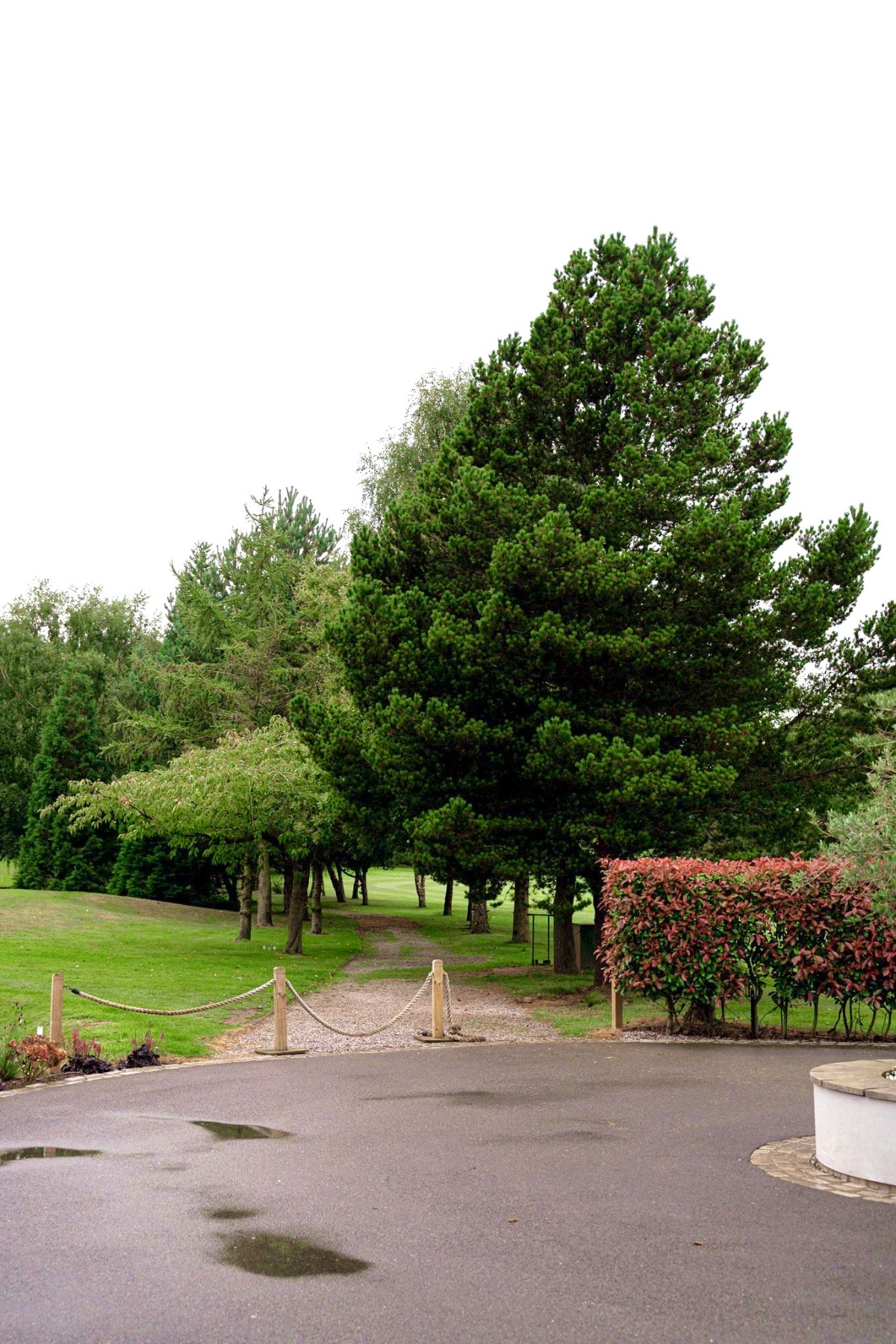Gallery Item 2 for Room One Hartford Golf Club