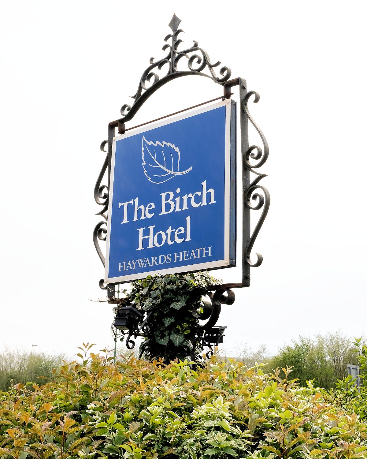 Gallery Item 4 for THE BIRCH HOTEL