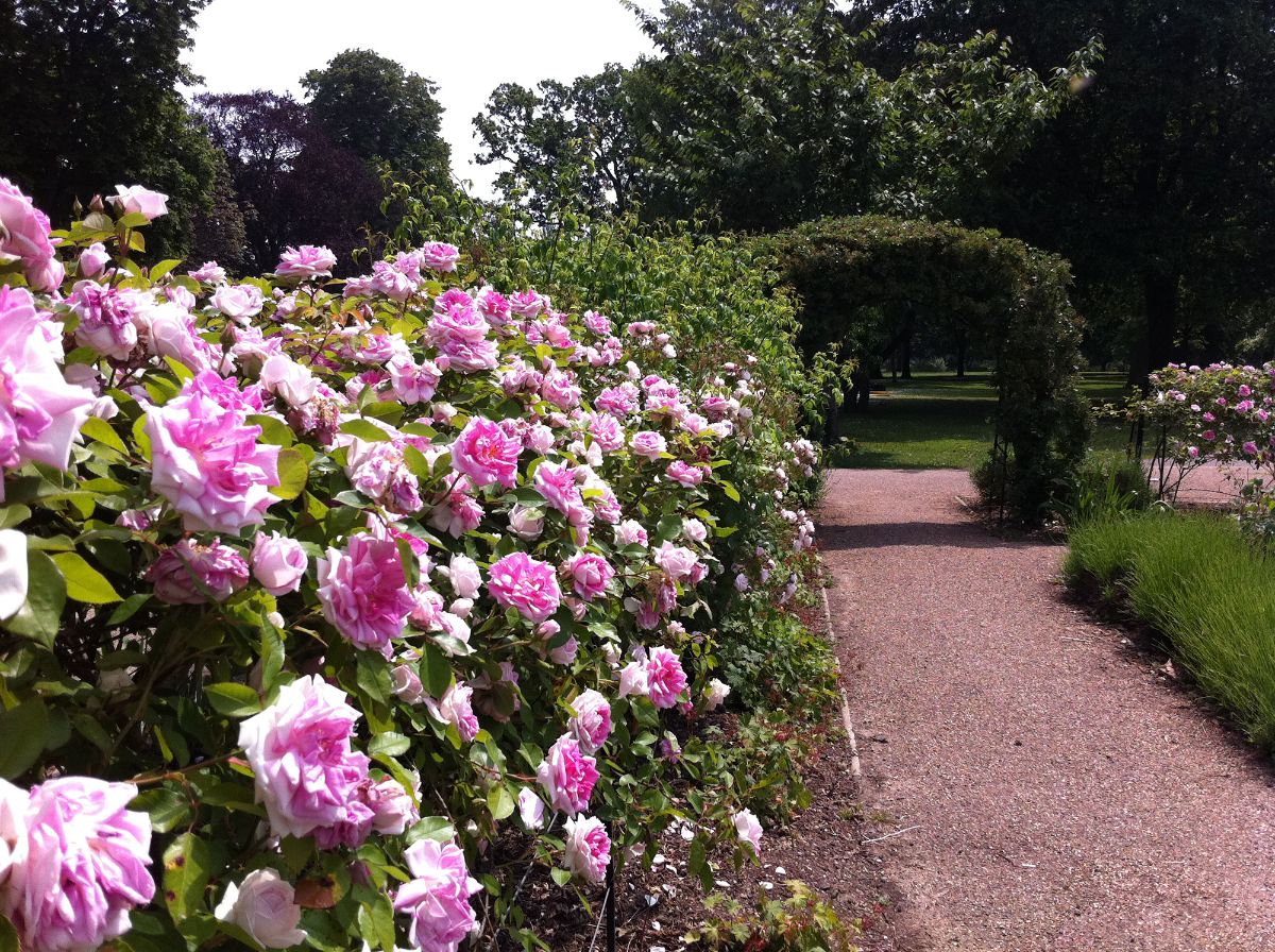 Gallery Item 1 for Valentines Mansion & Gardens