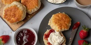 Gallery Item 6 for Silvertini House