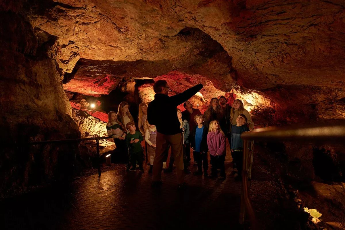 Gallery Item 3 for Kents Cavern