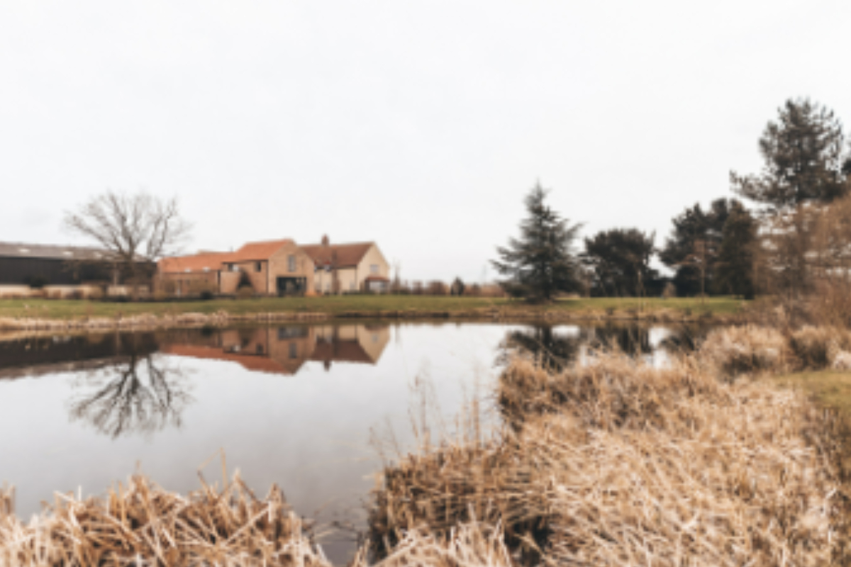 Meet Gallery Item 9 for The Hidden Oak