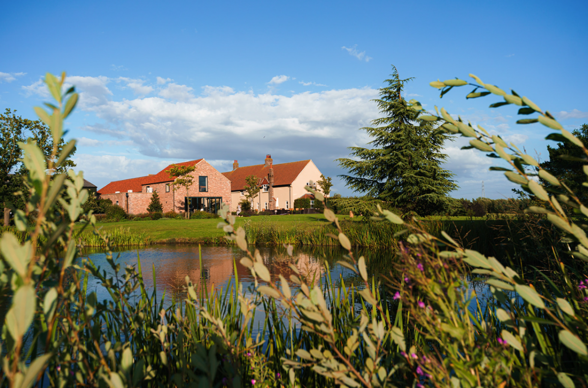 Gallery Item 5 for The Hidden Oak