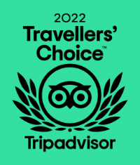 Traveler