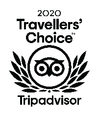 TripAdvisor 2022 Travellers